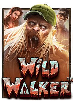 เบอร ต ดต อ sbobet: สิ่งที่ควรรู้ก่อนเล่น